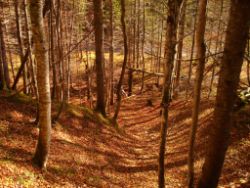 2013-10-26_Schildenstein (052).JPG